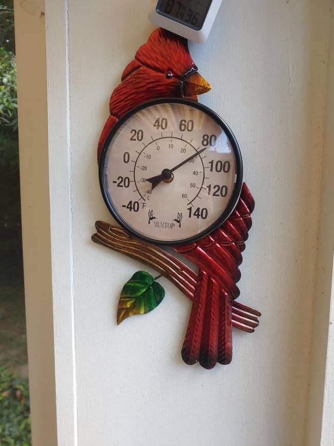 Bird-shaped decorative thermometer connected  a wall, displaying temperature
