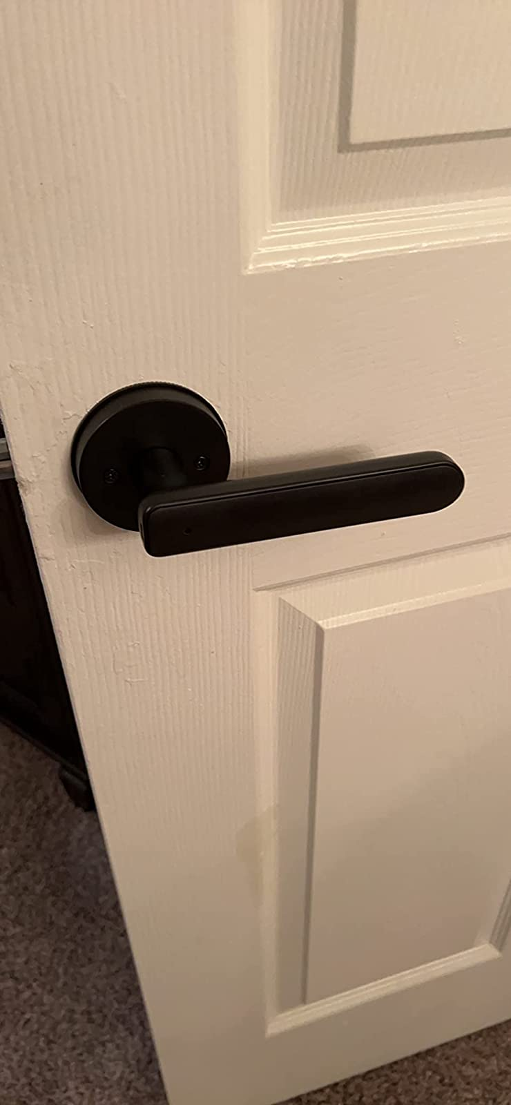 A reviewer's door with the black handle looking like a regular door handle