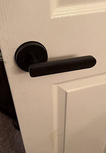 A reviewer's door with the black handle looking like a regular door handle