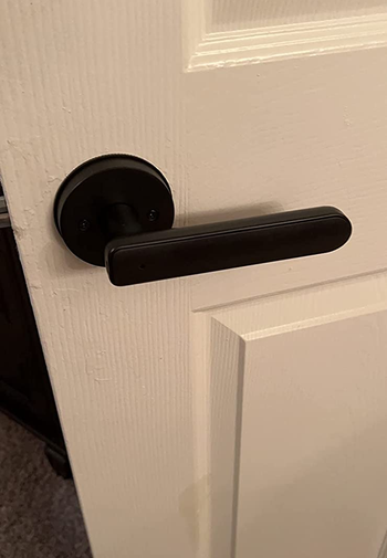 A reviewer's door with the black handle looking like a regular door handle