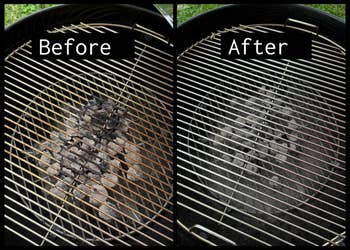 1 covered successful ash, the different cleanable and acceptable for use