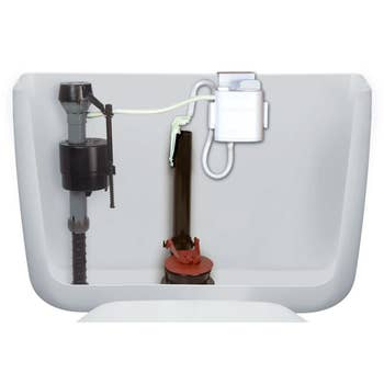 Toilet vessel  interior showing components similar  the capable    valve and flush valve, suitable for a location  betterment  buying  article