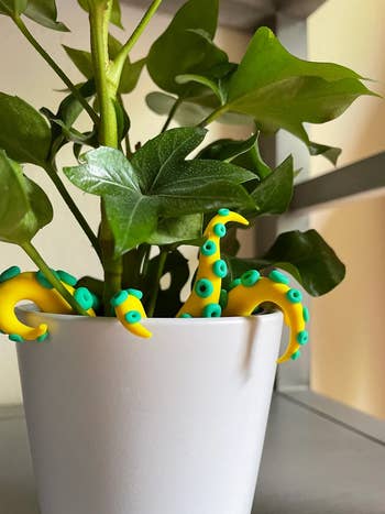 yellow tentacles with green suckers coming out of a plant pot