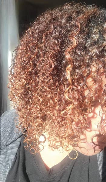Close-up of curly hair in natural lighting, potentially for a hair product review or style feature