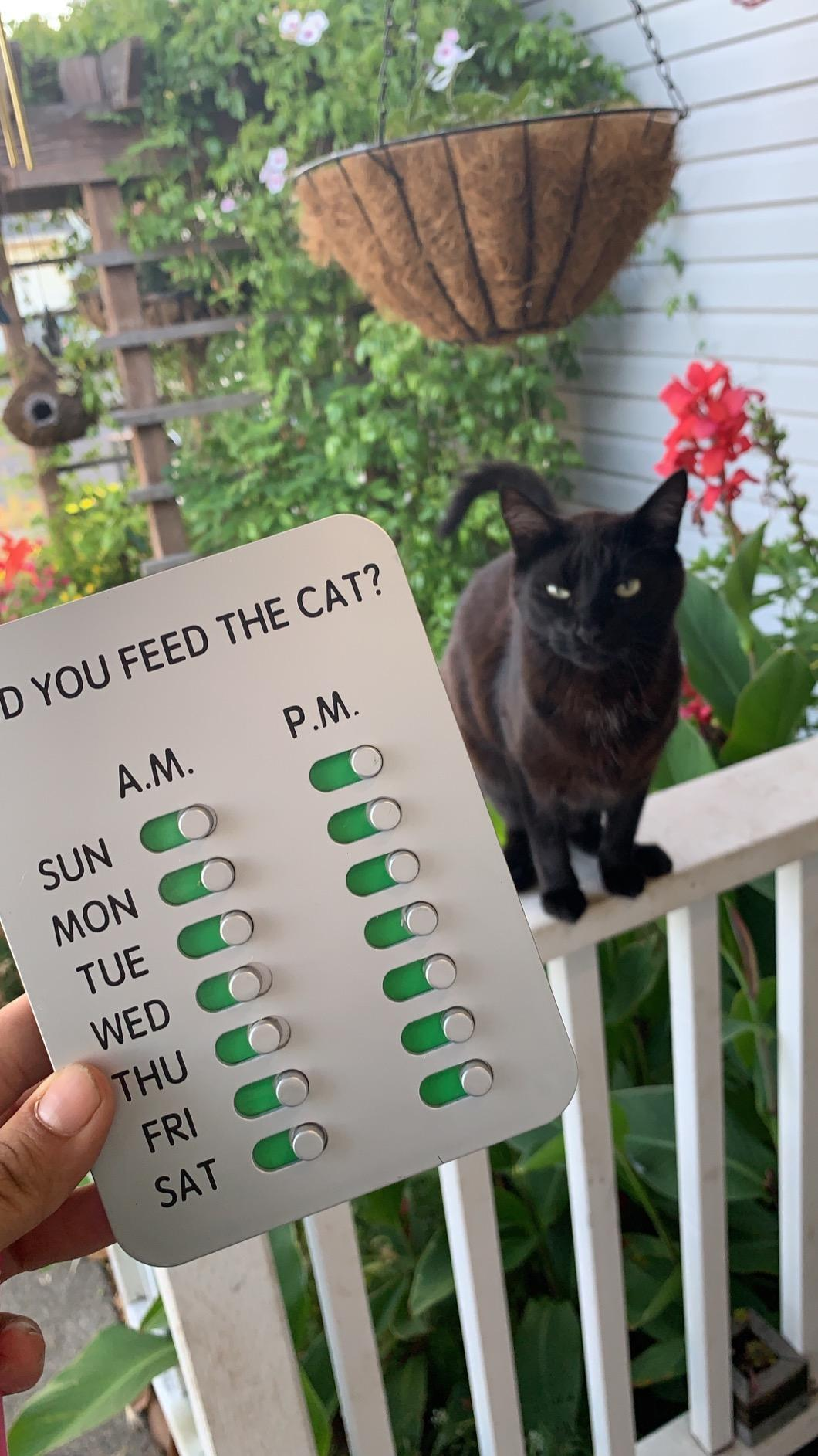 reviewer holding up the 