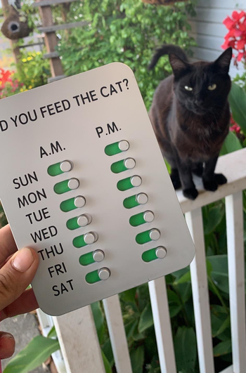 reviewer holding up the