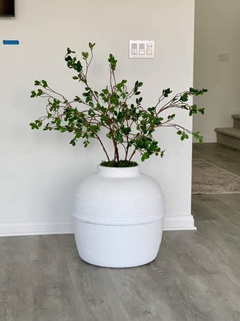 Reviewer image of white hidden cat litter box planter in front of white wall
