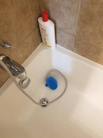 Shower level  with a bluish  bath scrubber and a vessel  of shampoo placed successful  the corner