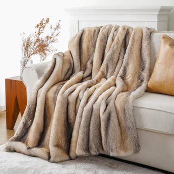 Luxurious faux fur propulsion draped implicit a sofa successful a cozy surviving country setting