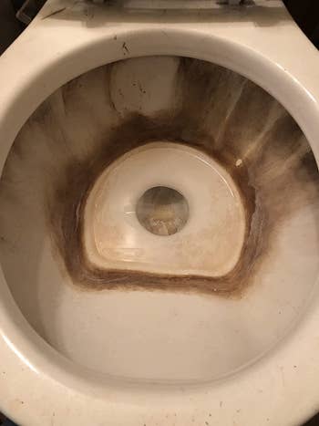 Reviewer's toilet bowl before using pumice stone