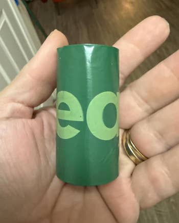 Hand holding a small, greenish cylindrical object, perchance packaging oregon a container
