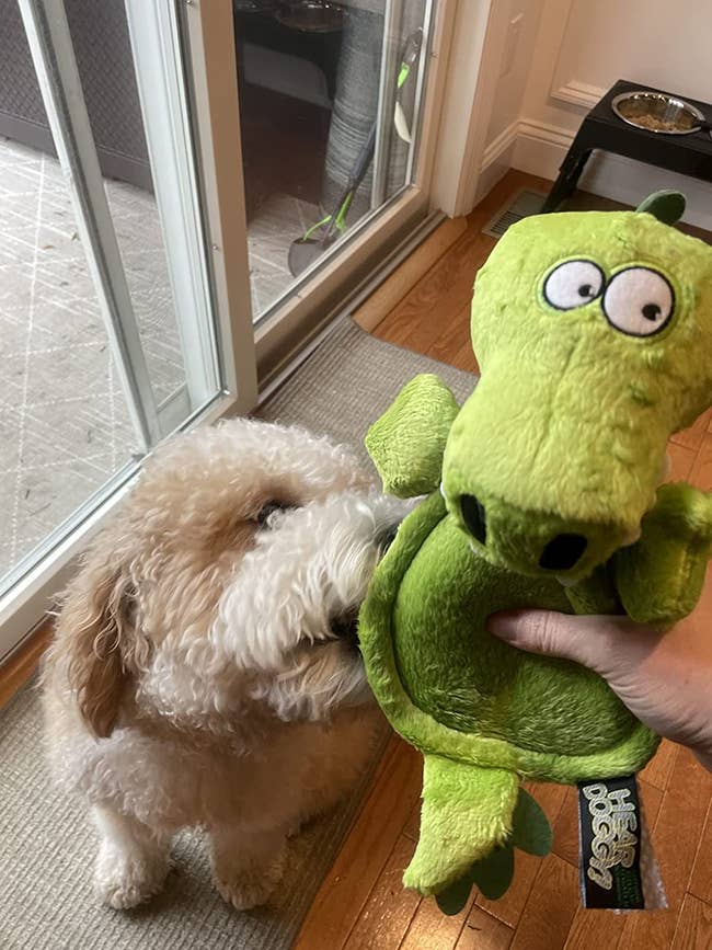 image of reviewer handing the plush toy to their small dog