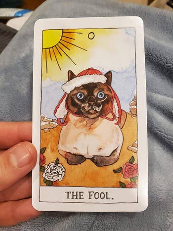 Hand holding a tarot card with an illustrated Siamese cat wearing a red hat titled 