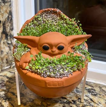reviewer photo of the baby yoda chia pet