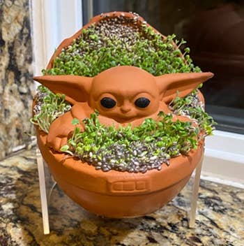 reviewer photo of the baby yoda chia pet