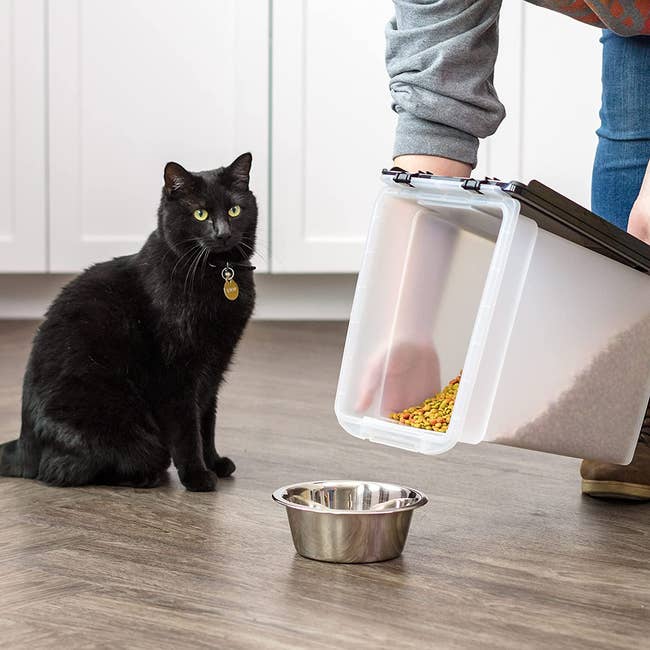 a model pouring cat food from the container