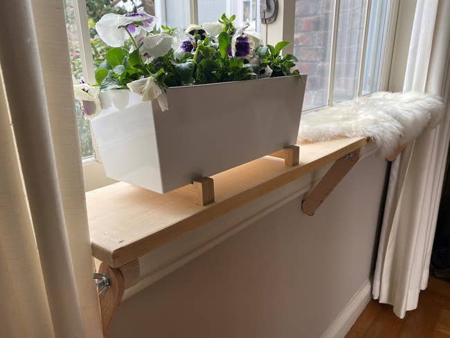 White flower box with pansies on a wooden indoor window shelf by a white curtain