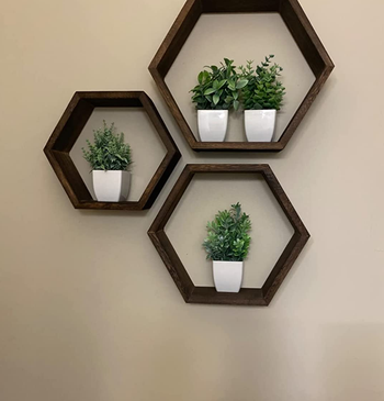 Reviewer image of products on three dark wood hexagon shelves on cream wall