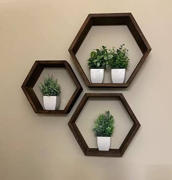 Reviewer image of products on three dark wood hexagon shelves on cream wall