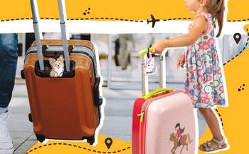 graphic with corgi luggage tag and unicorn luggage tag on children's suitcases