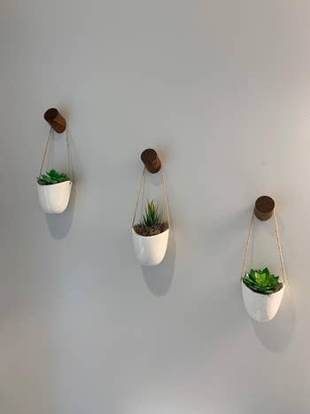 Reviewer uses same wall hooks to display hanging succulents on wall