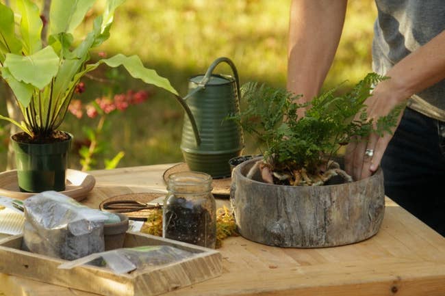 Person tending plants on a wooden table outdoors, surrounded by gardening supplies including a watering can, jars, and pots
