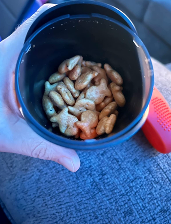 cylinder shaped container with Goldfish crackers in it 