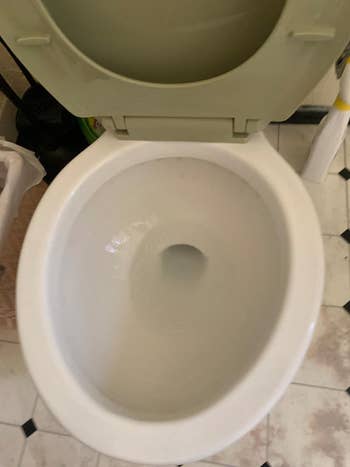 after photo of the clean toilet bowl