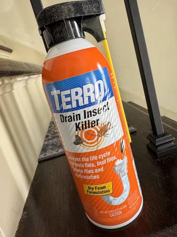 Spray tin  of Terro Drain Insect Killer connected  a staircase, designed to people     drain flies, effect   flies, and cockroaches. Label highlights adust  foam formulation