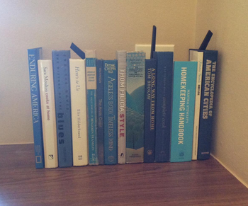 front-facing image of the stack of fake books covering all of the wires