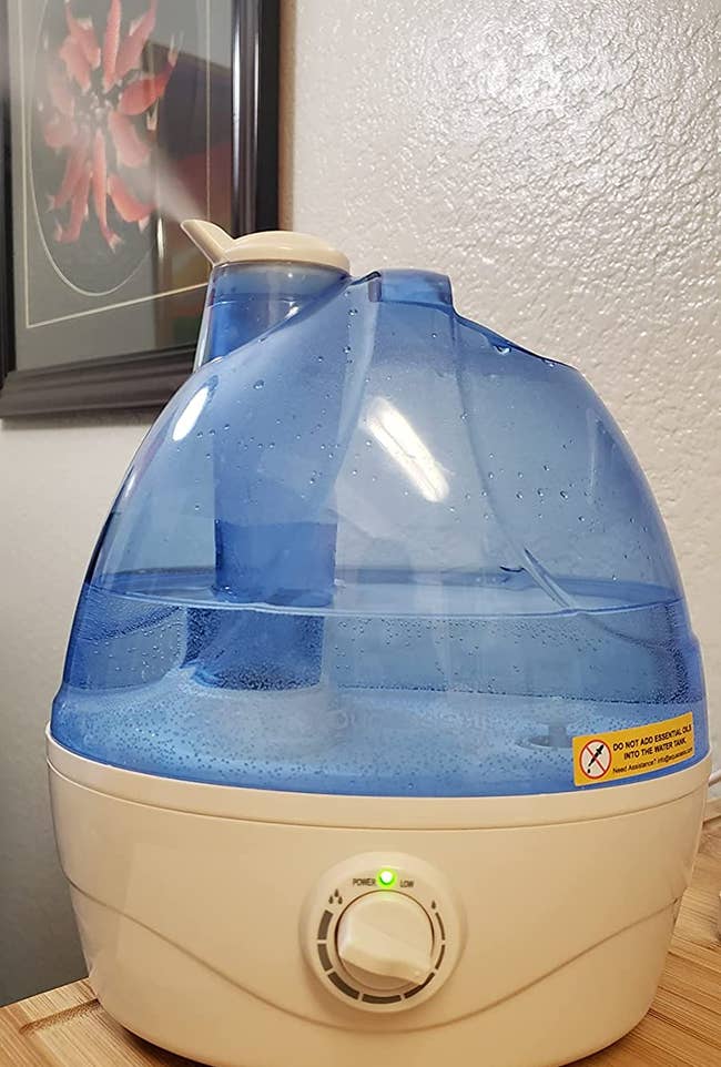 reviewer photo of the humidifier emitting steam