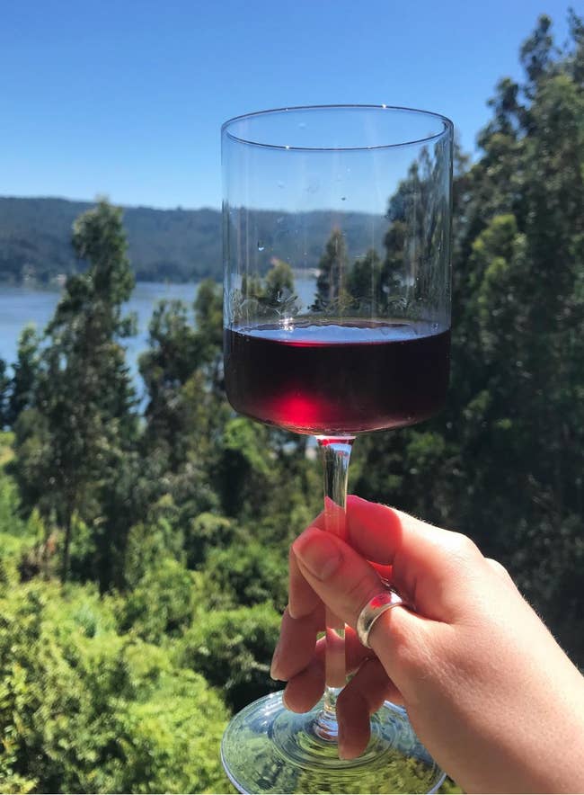 A hand holds a glass of red wine against a scenic backdrop of a lake and trees