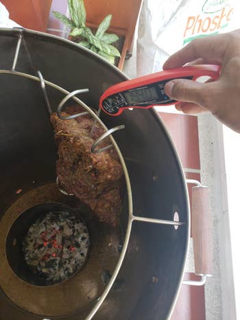 a reviewer using their meat thermometer to check the temperature of meat