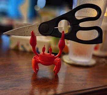 crab holding scissors