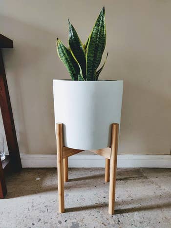 reviewer photo of white pot and plant stand