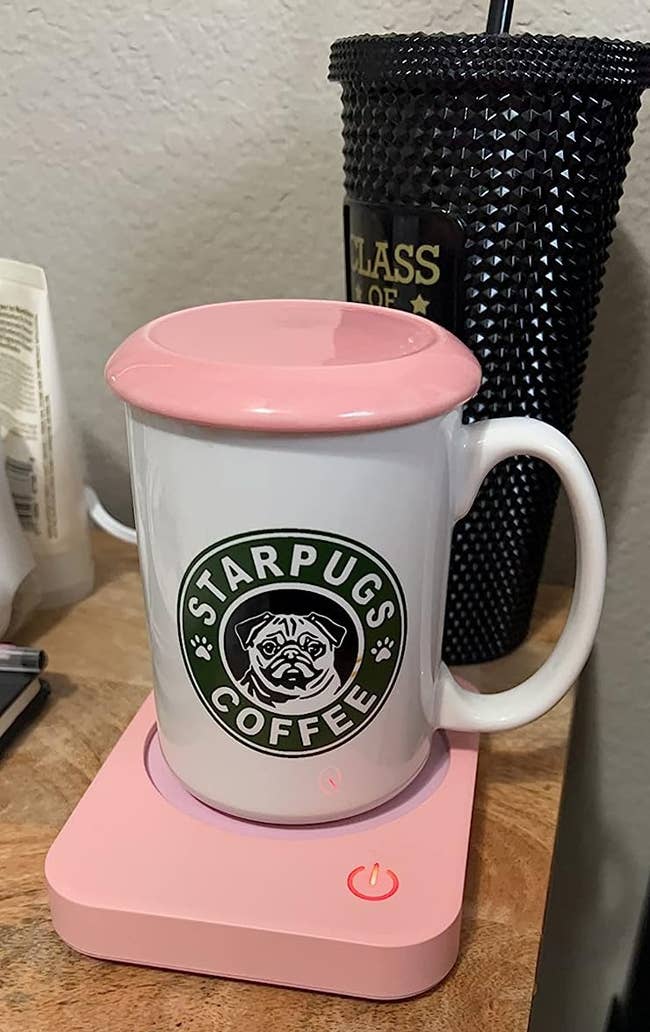 The reviewer's achromatic java mug connected apical of pinkish mug warmer
