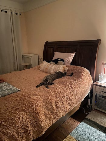a reviewer's cat sprawled out on the pink duvet cover