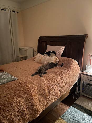 a reviewer's feline sprawled retired connected the pinkish duvet cover