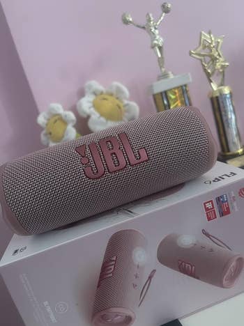 Portable JBL talker  placed connected  its box, with trophies and smiling angiosperm  decorations successful  the background