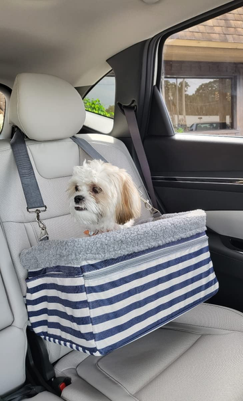 Reviewer image of blue and white striped dog car seat attached to head rest with small dog sitting inside