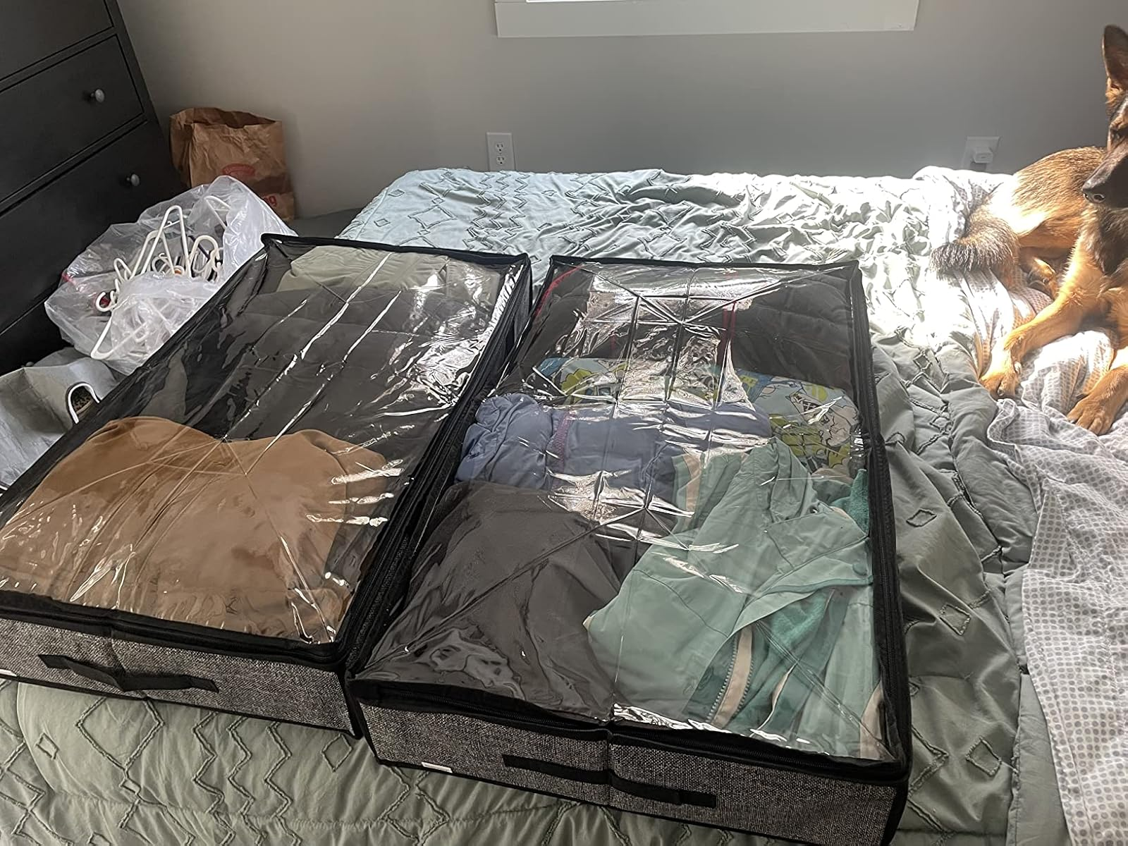Two retention  bags connected  a bed, filled with neatly folded clothes, demonstrating organized retention  solutions. A canine  is lying nearby