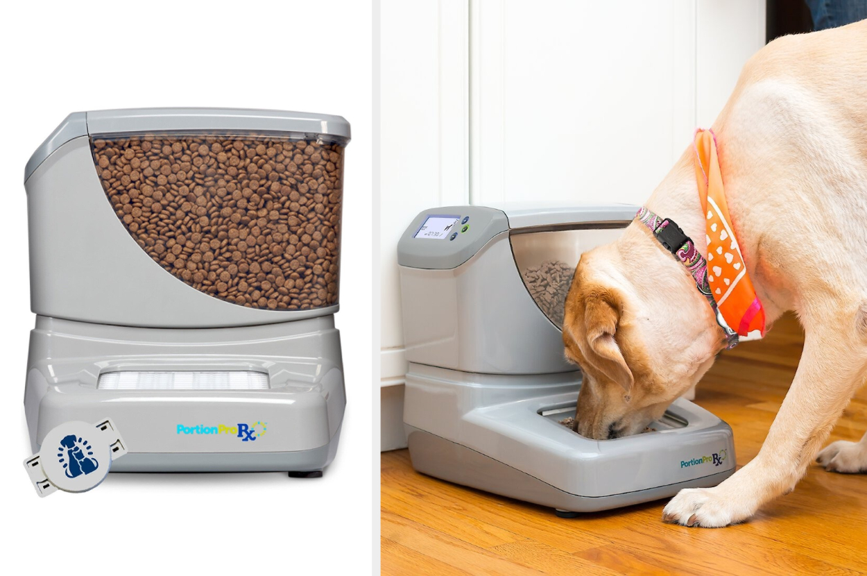 automatic dog feeder with collar