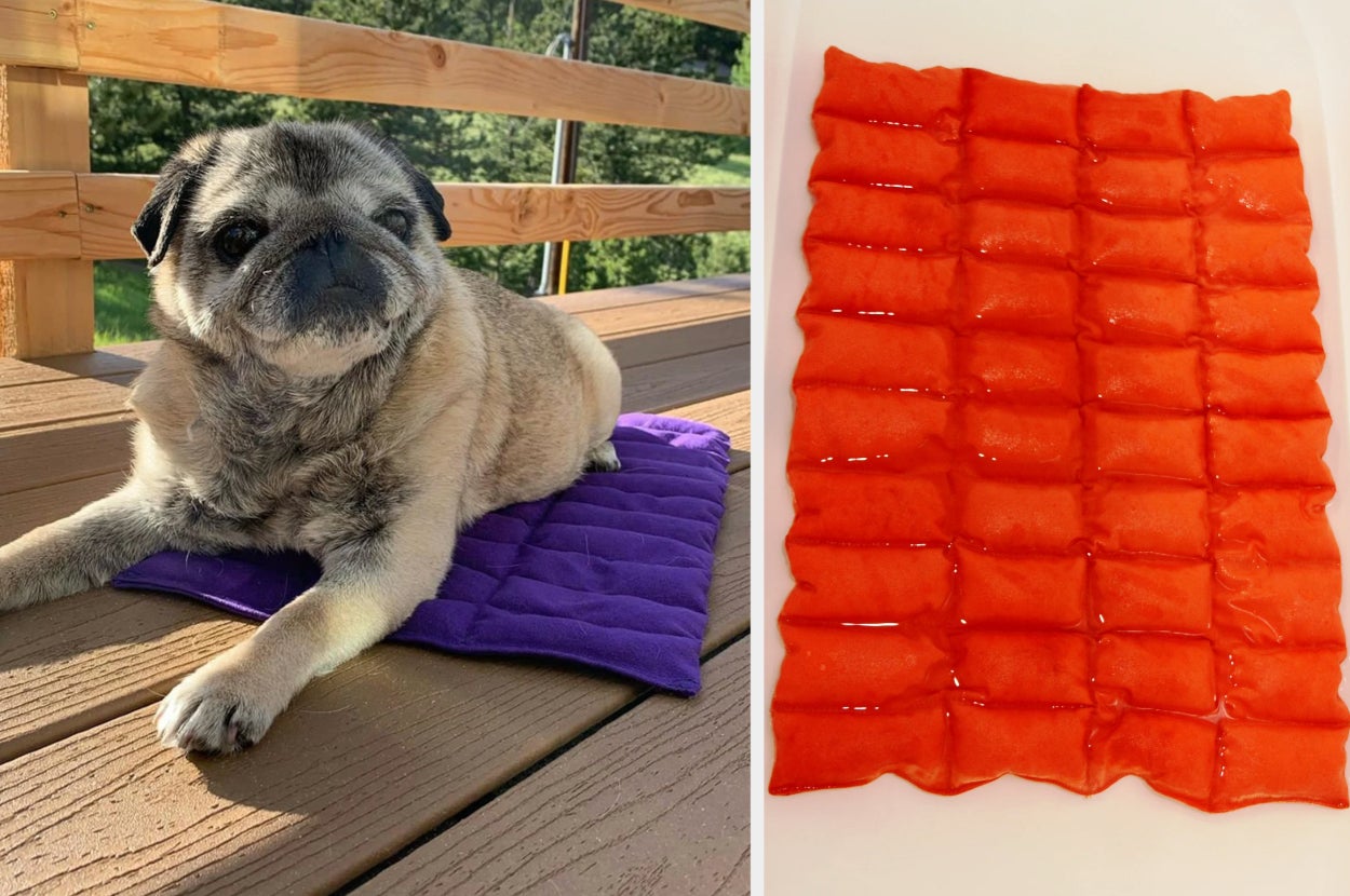 The Best Dog Cooling Mats, Beds, and Pads to Keep Your Pup Cool