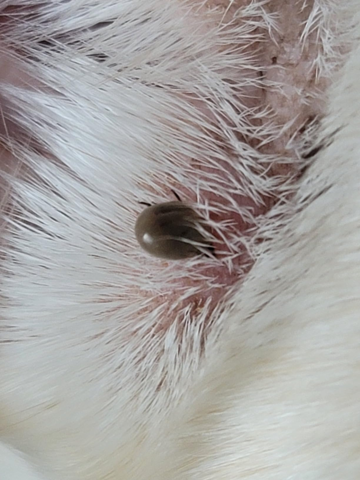 Post image 19