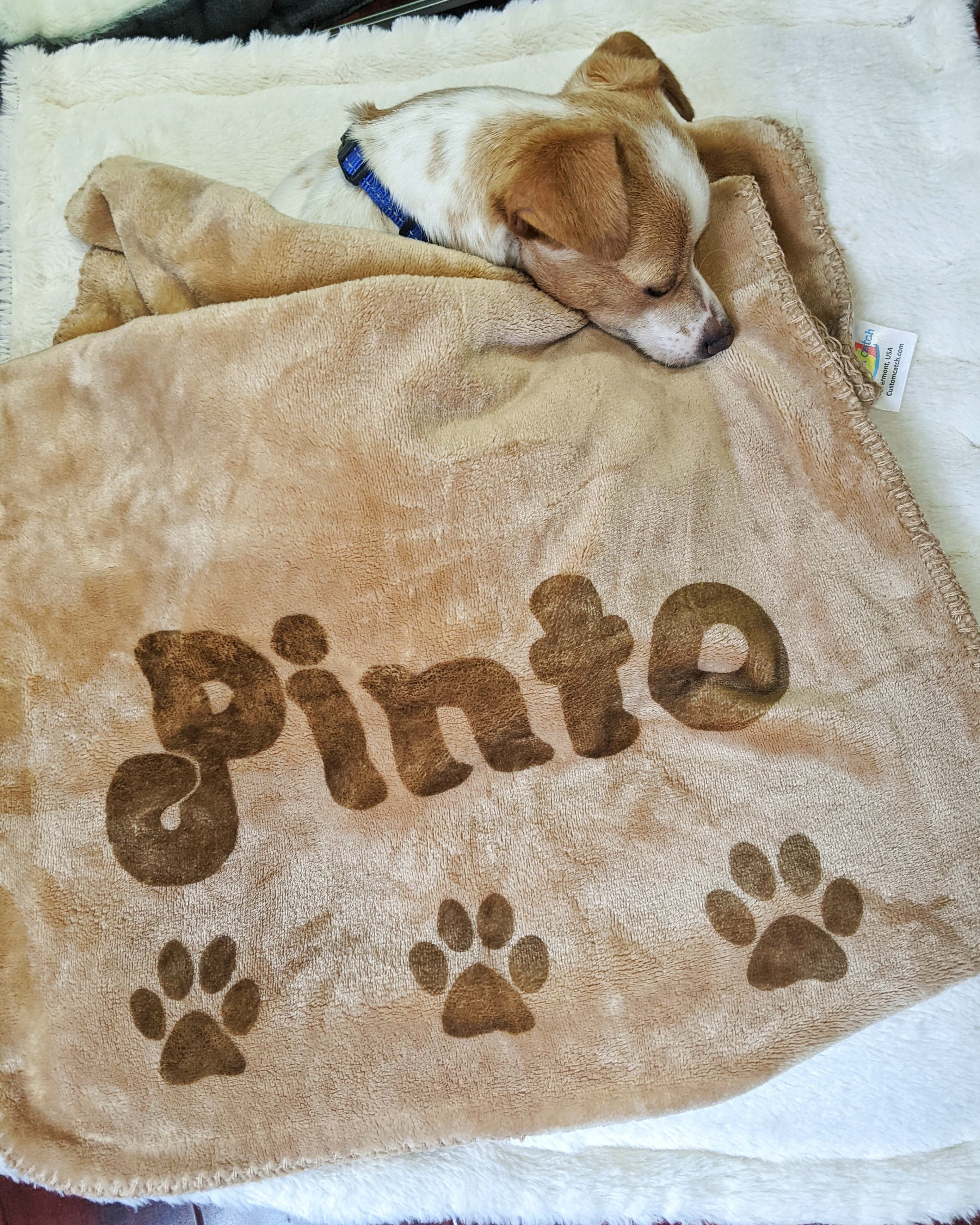 Dog sleeping under brown blanket with paw prints that reads