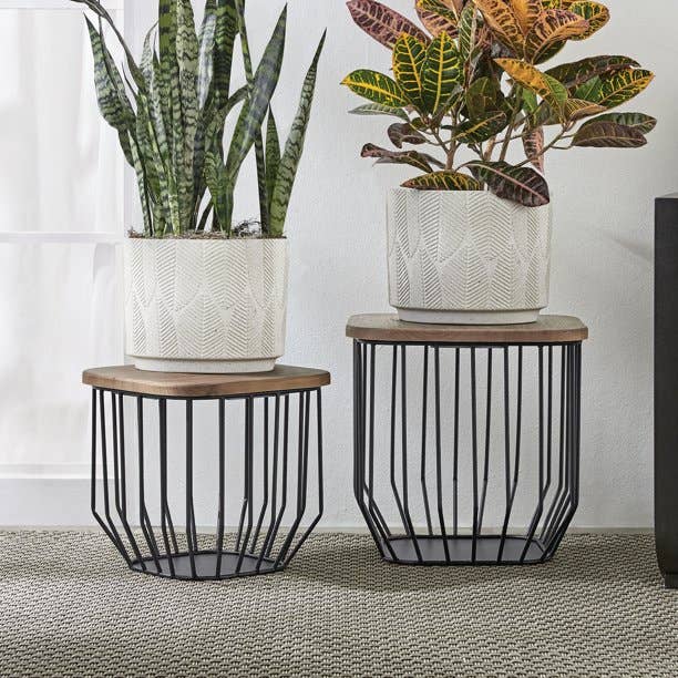 lifestyle image of two plants on plant stands