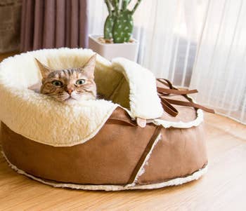 cat resting inside the sherpa lined moccasin bed
