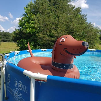 the very large tube in a reviewer's above-ground pool