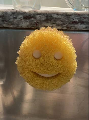 A reviewer's smiling sponge held in the sponge caddy 