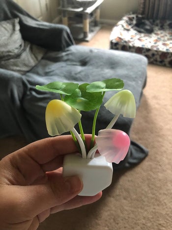 reviewer holding mushroom night light